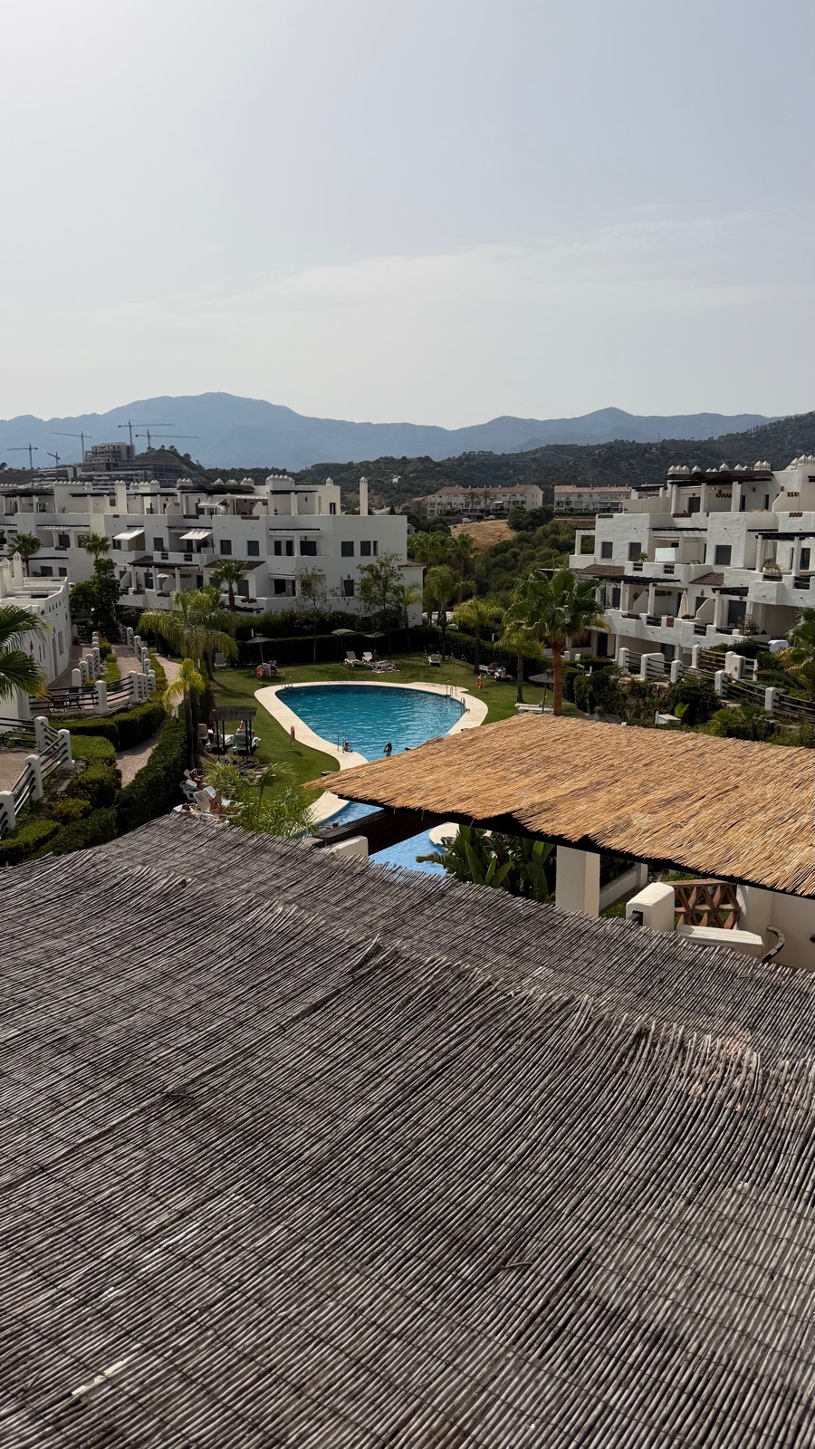 The community pool in daylight, seen from the terrace