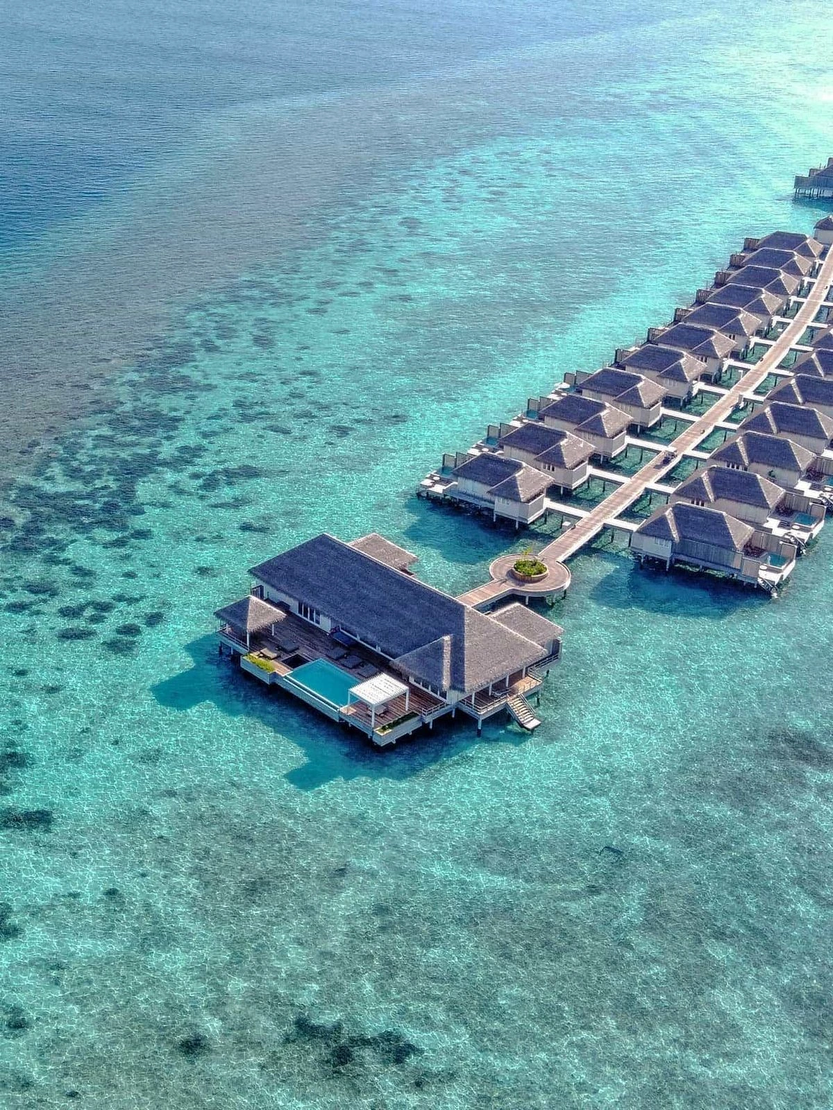 honeymoons